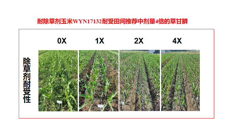 1710224042499756YQaN.png 1710224042499756YQaN.png