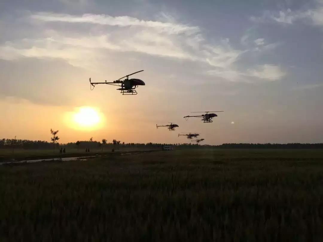 15310974053760423x2V.jpg 微信圖片_20180709084734.jpg