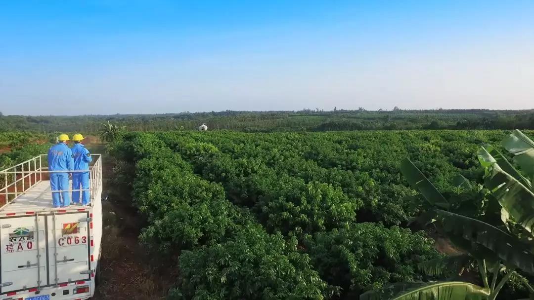 15310974698150607ppq.jpg 微信圖片_20180709084745.jpg