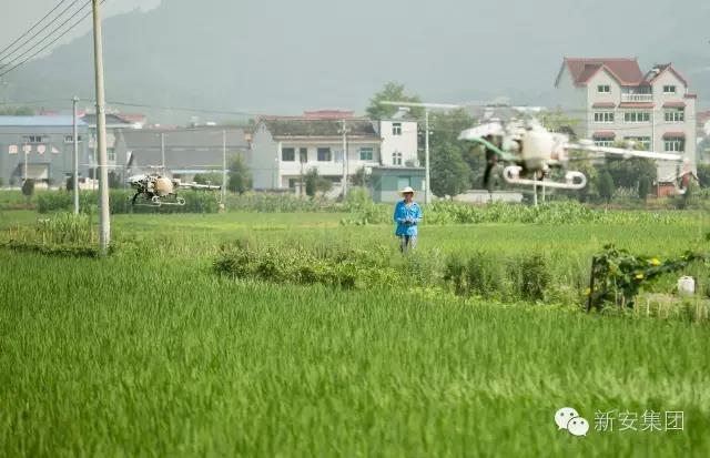 1531097590793336EiGK.jpg 微信圖片_20180709084805.jpg